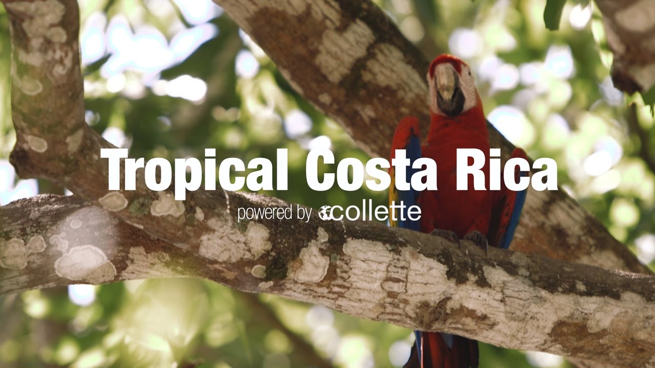 Tropical Costa Rica Collette Central America Tours Vacation Guide